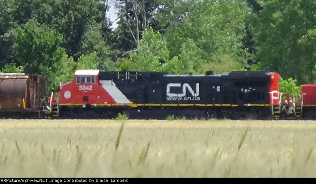 CN 3342